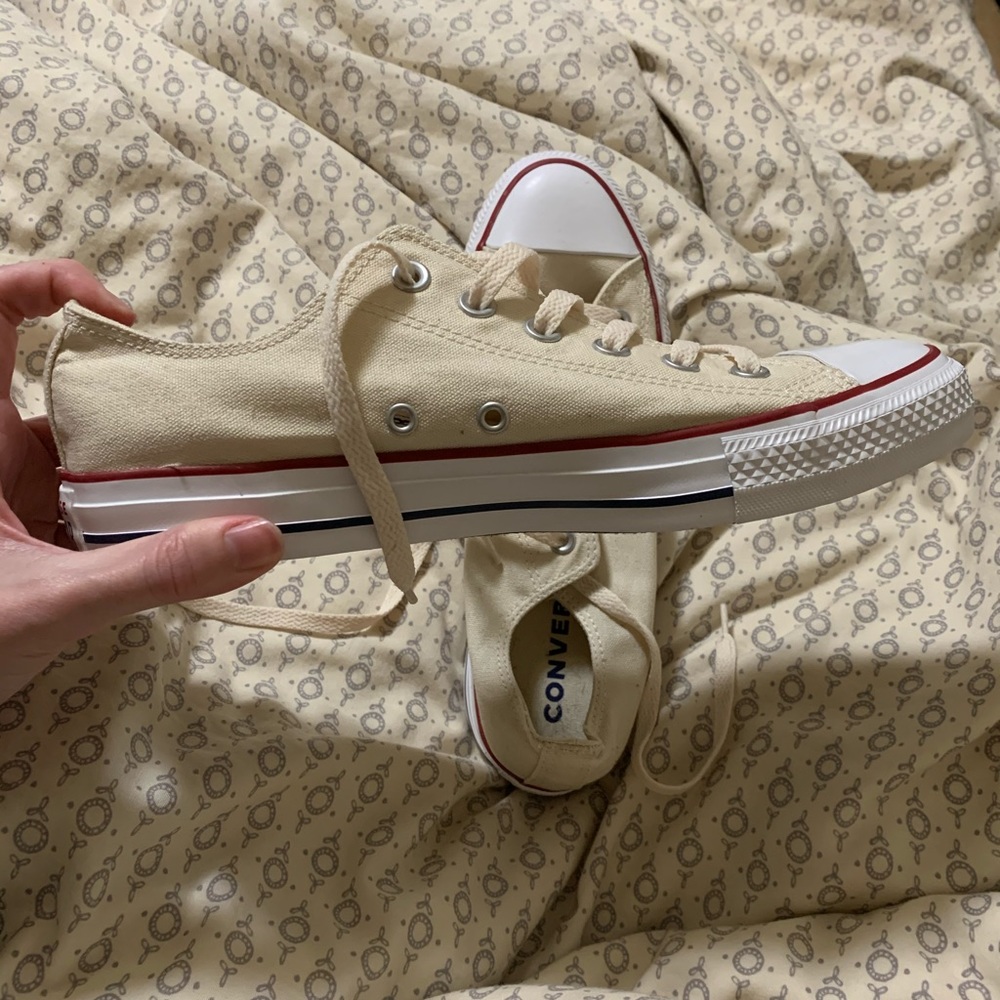 Converse Low Top Sneakers